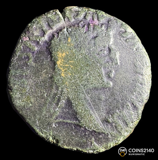 Época de Tiberio. As. 37-41 d.C. Clunia. (Coruña del Conde, Burgos). 11,23g.