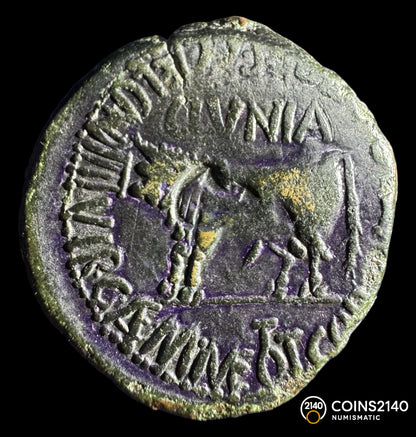 Época de Tiberio. As. 37-41 d.C. Clunia. (Coruña del Conde, Burgos). 11,23g.